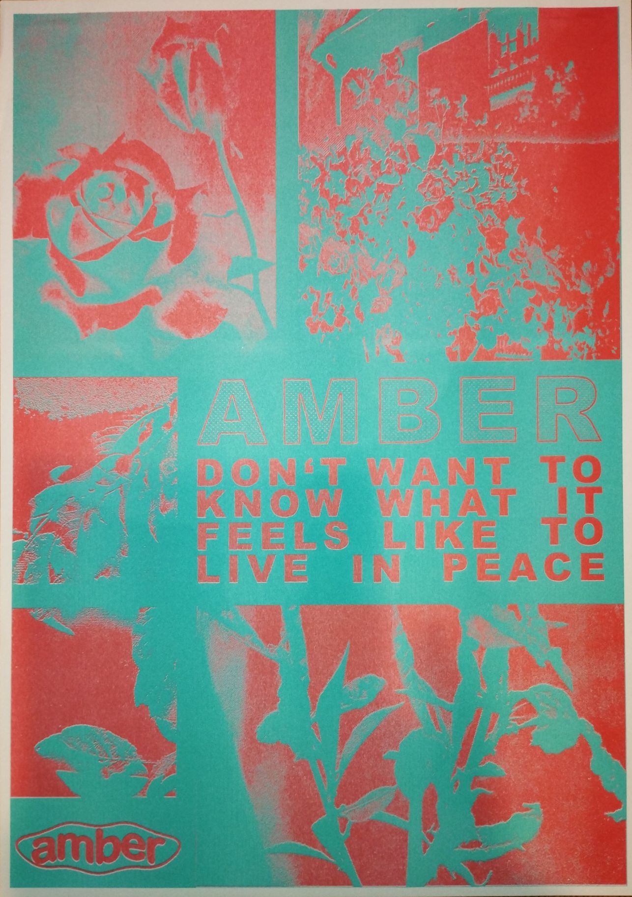 Poster von Amber