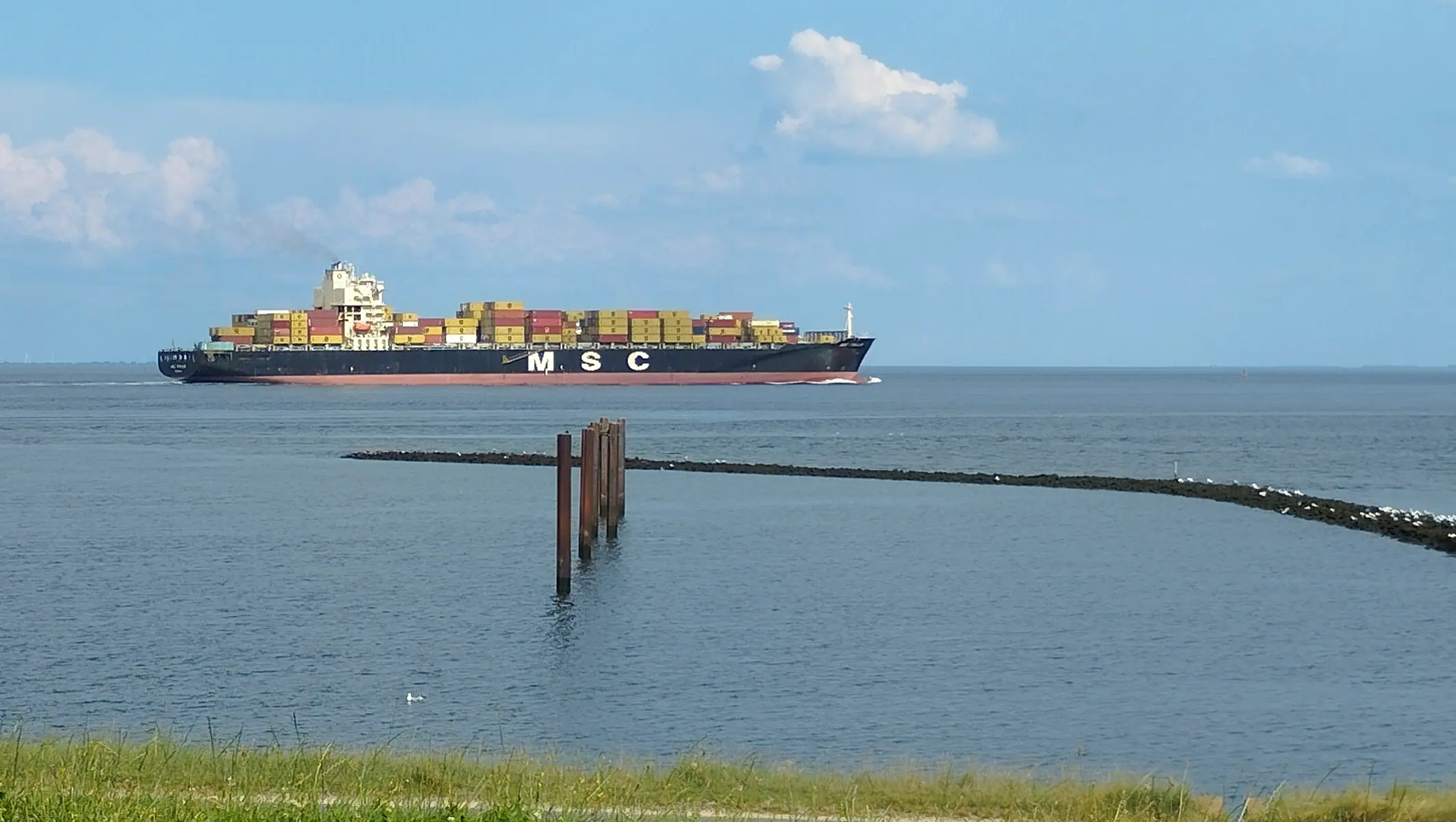 MSC Frachtschiff