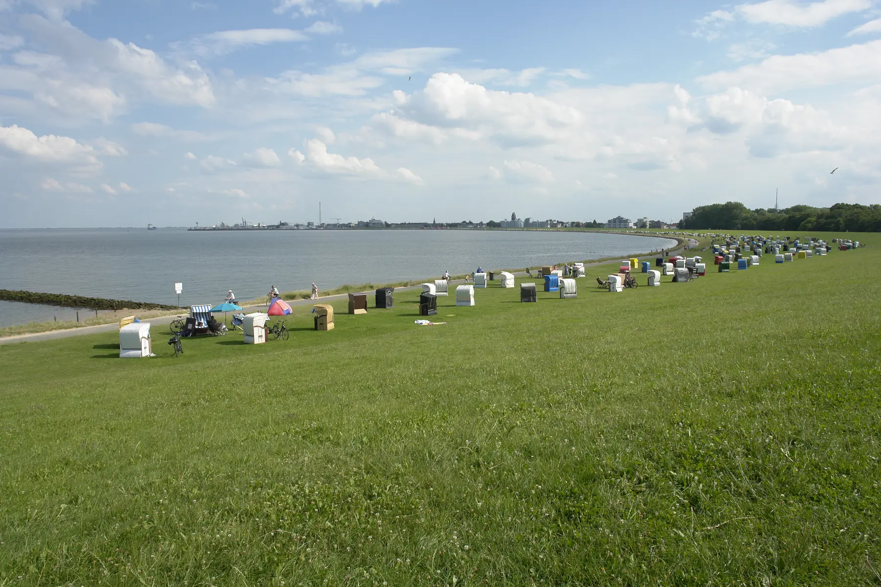 _DSC0042